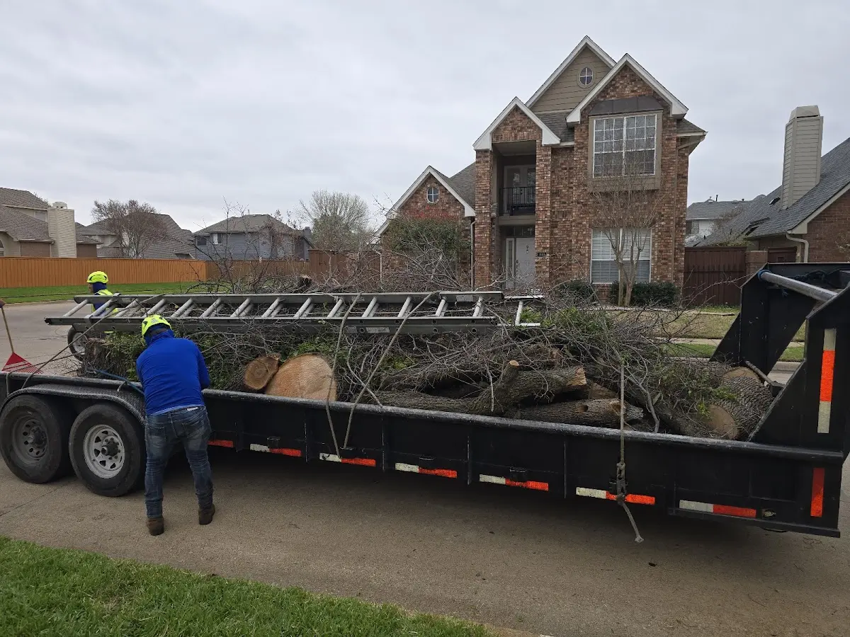 Expert Tree Pest Control with proper safety equipment in Newborn
